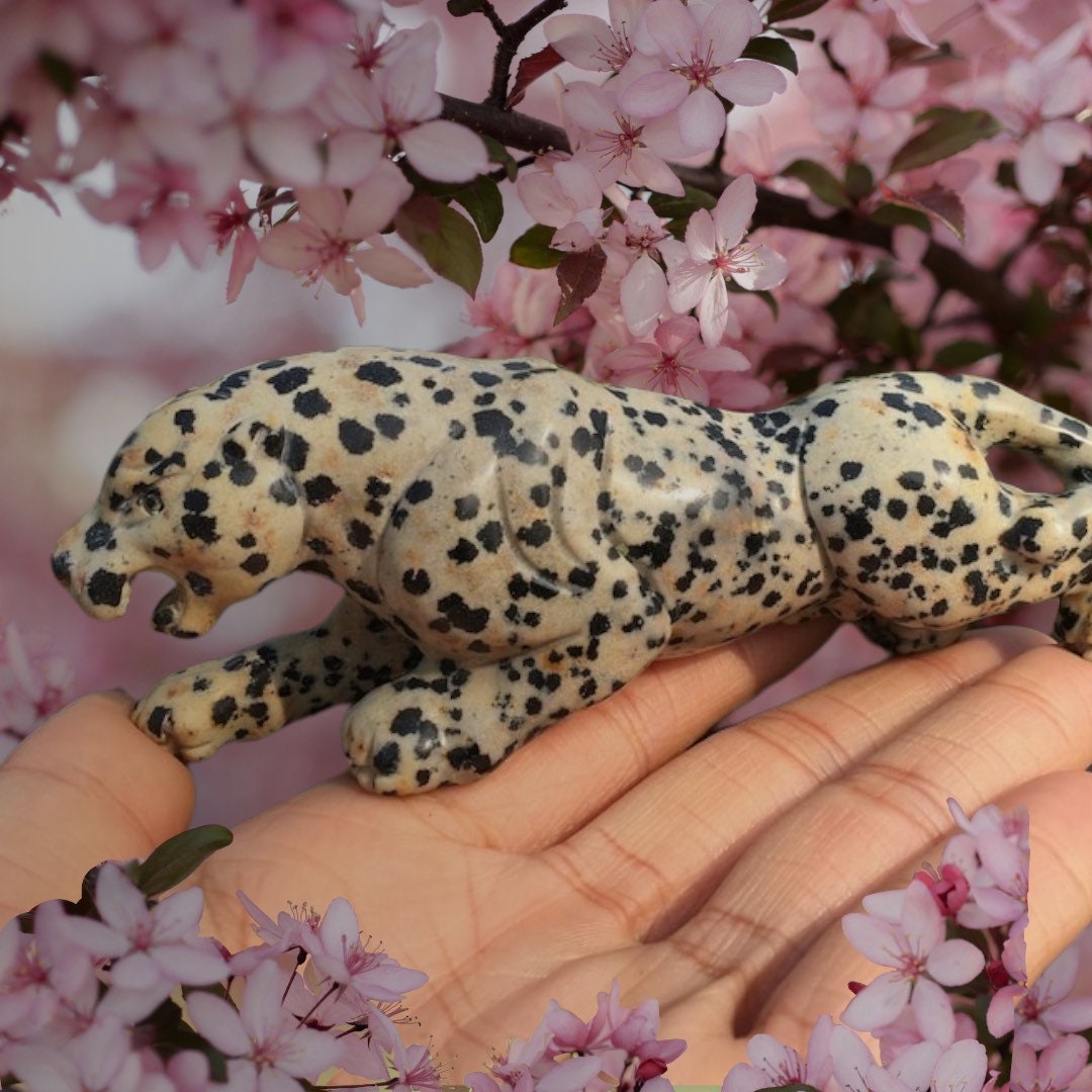 Dalmatian Jasper Leopard Crystal Carving, Animal Home Decoration Cat Crystal Gift, Witchy Decor