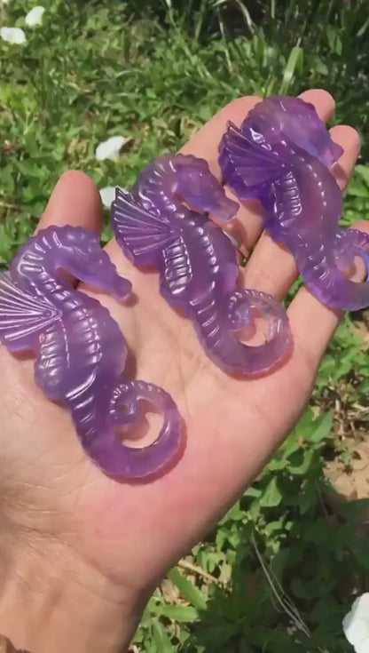 Purple Fluorite Seahorse Carving, Hand Carved Crystal FossIl, Natural Beach Theme Decor